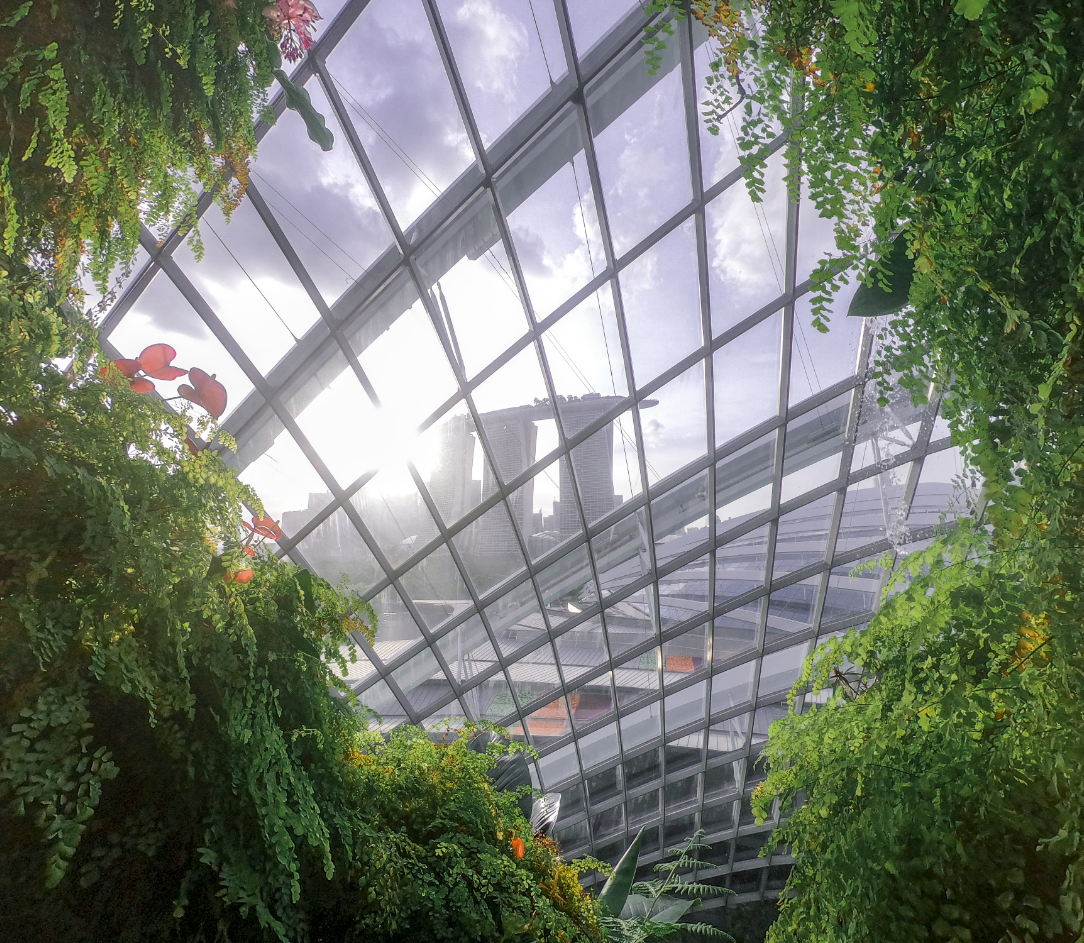 Copertura vetrata di un edificio industriale